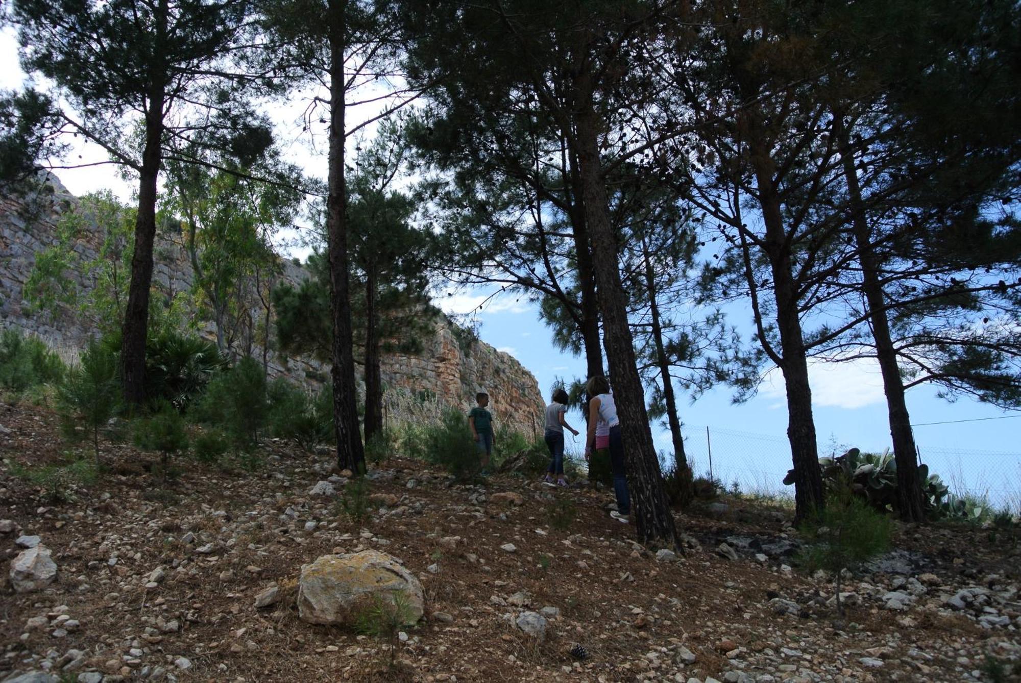 La Pineta Al Mare Apartment Erice Exterior photo